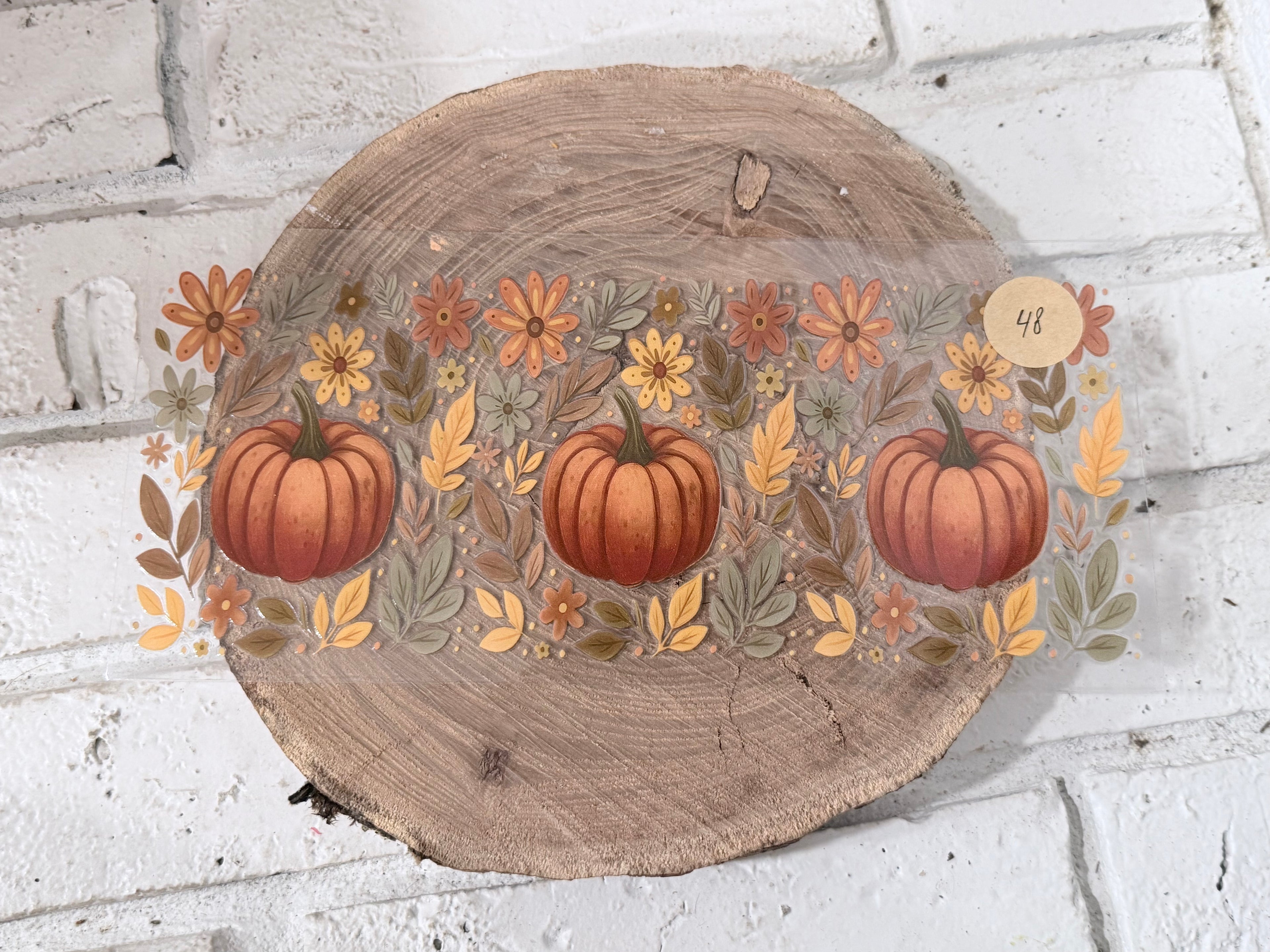 #48 fall pumpkins