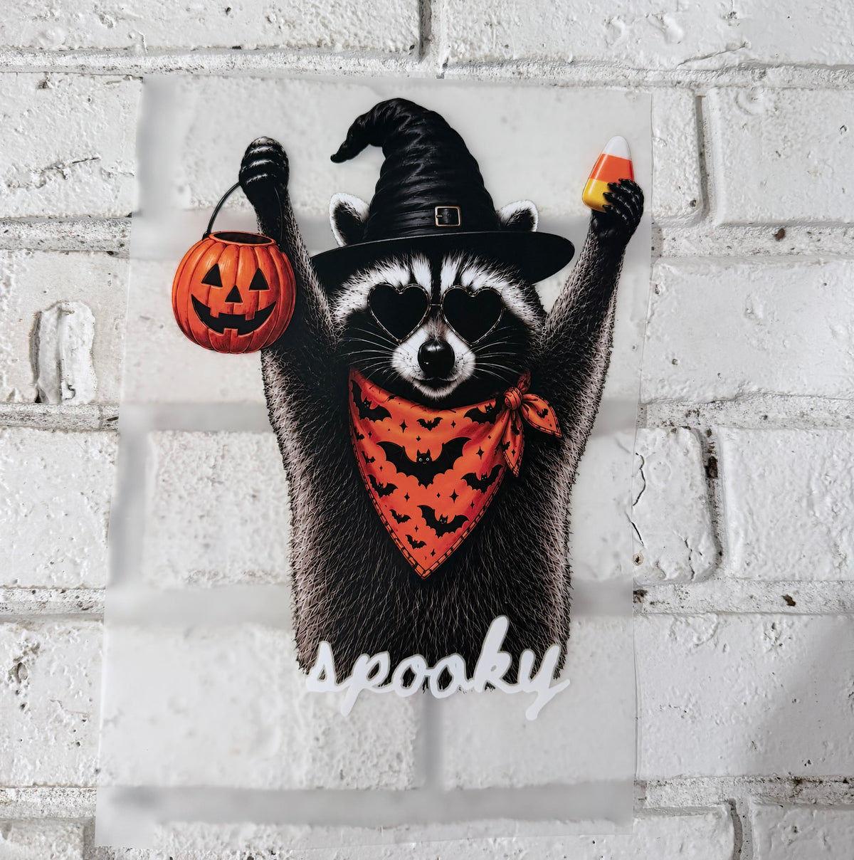 Spooky raccoon